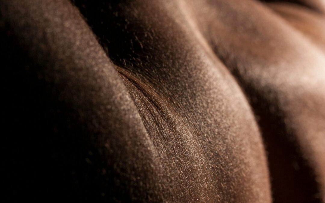 Körperorientierte Therapie