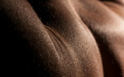 Körperorientierte Therapie